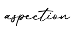 单词aspection书写
