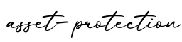 单词asset-protection书写