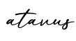 单词atavus书写