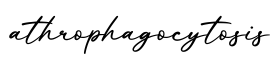 单词athrophagocytosis书写