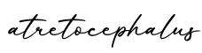 单词atretocephalus书写