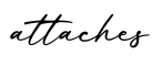 单词attaches书写