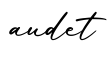 单词audet书写