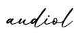 单词audiol书写