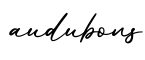 单词audubons书写