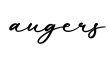 单词augers书写