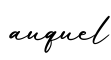 单词auquel书写