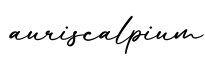 单词auriscalpium书写