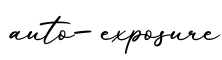 单词auto-exposure书写