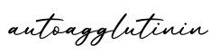 单词autoagglutinin书写