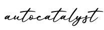 单词autocatalyst书写