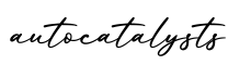 单词autocatalysts书写