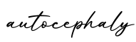 单词autocephaly书写