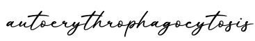 单词autoerythrophagocytosis书写
