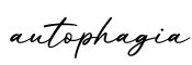单词autophagia书写