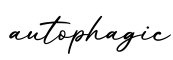 单词autophagic书写