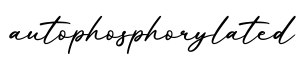 单词autophosphorylated书写
