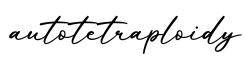 单词autotetraploidy书写
