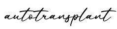 单词autotransplant书写