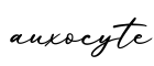 单词auxocyte书写