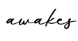 单词awakes书写