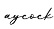 单词aycock书写