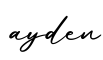 单词ayden书写