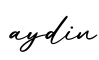 单词aydin书写