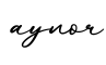 单词aynor书写