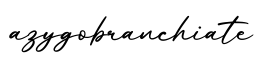 单词azygobranchiate书写