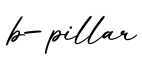 单词b-pillar书写