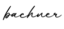单词bachner书写
