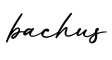 单词bachus书写