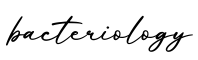 单词bacteriology书写