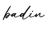 单词badin书写