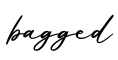 单词bagged书写