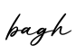 单词bagh书写