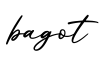单词bagot书写