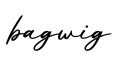 单词bagwig书写