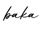 单词baka书写
