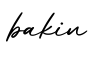 单词bakin书写