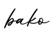 单词bako书写