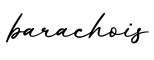 单词barachois书写