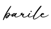 单词barile书写