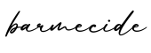 单词barmecide书写