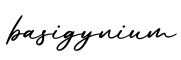 单词basigynium书写