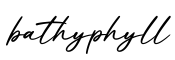 单词bathyphyll书写