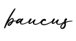 单词baucus书写