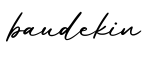 单词baudekin书写
