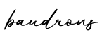 单词baudrons书写